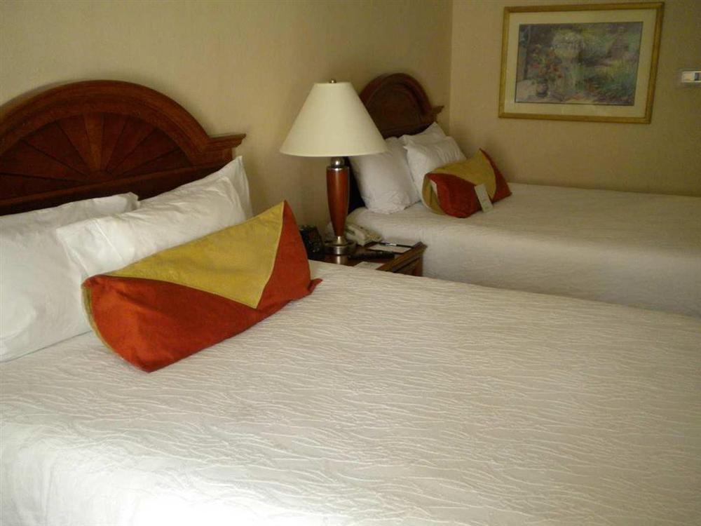 Hilton Garden Inn Williamsburg Værelse billede